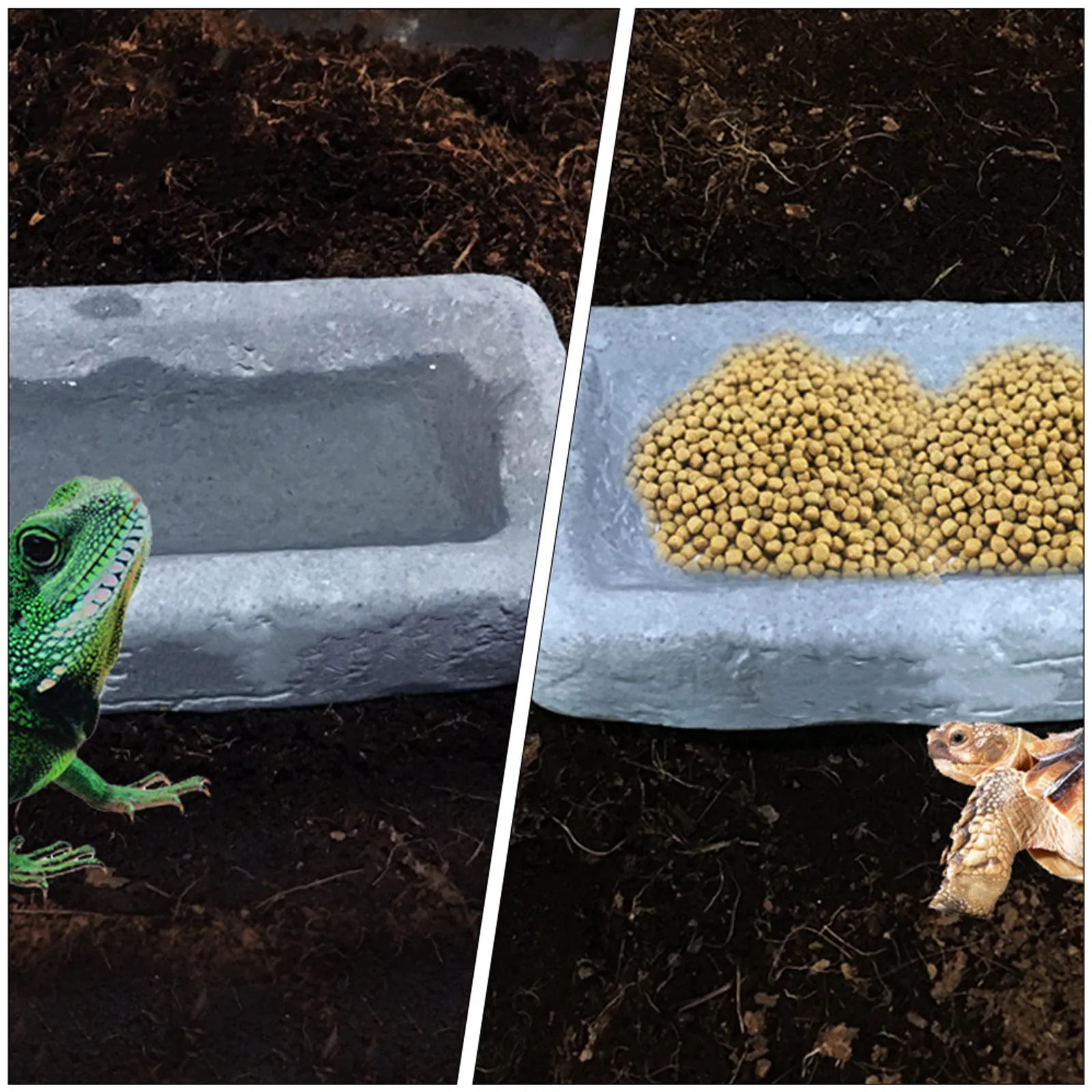 1 Stück Reptilien-Futterbecken – Pet Feeders Bewertung und Preis