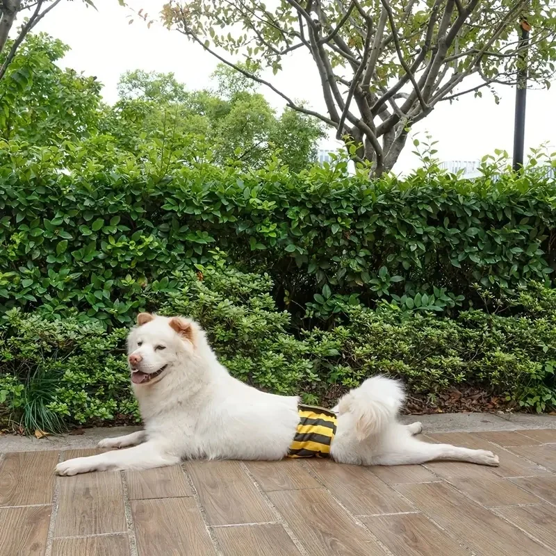 Thumbnail 4 - #48 Latest Dog Diapers Offers