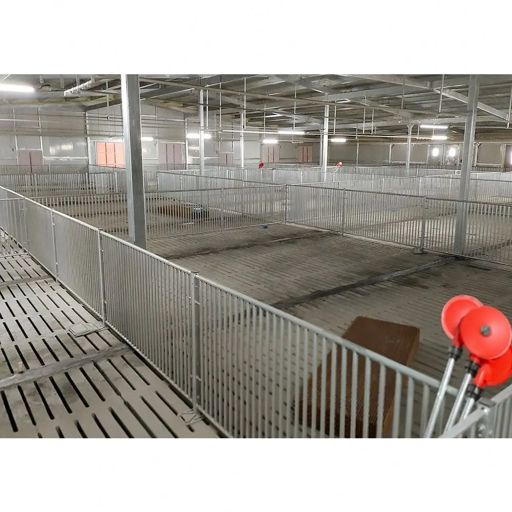 China factory wholesale price durable pig farm equipment pig fattening cage