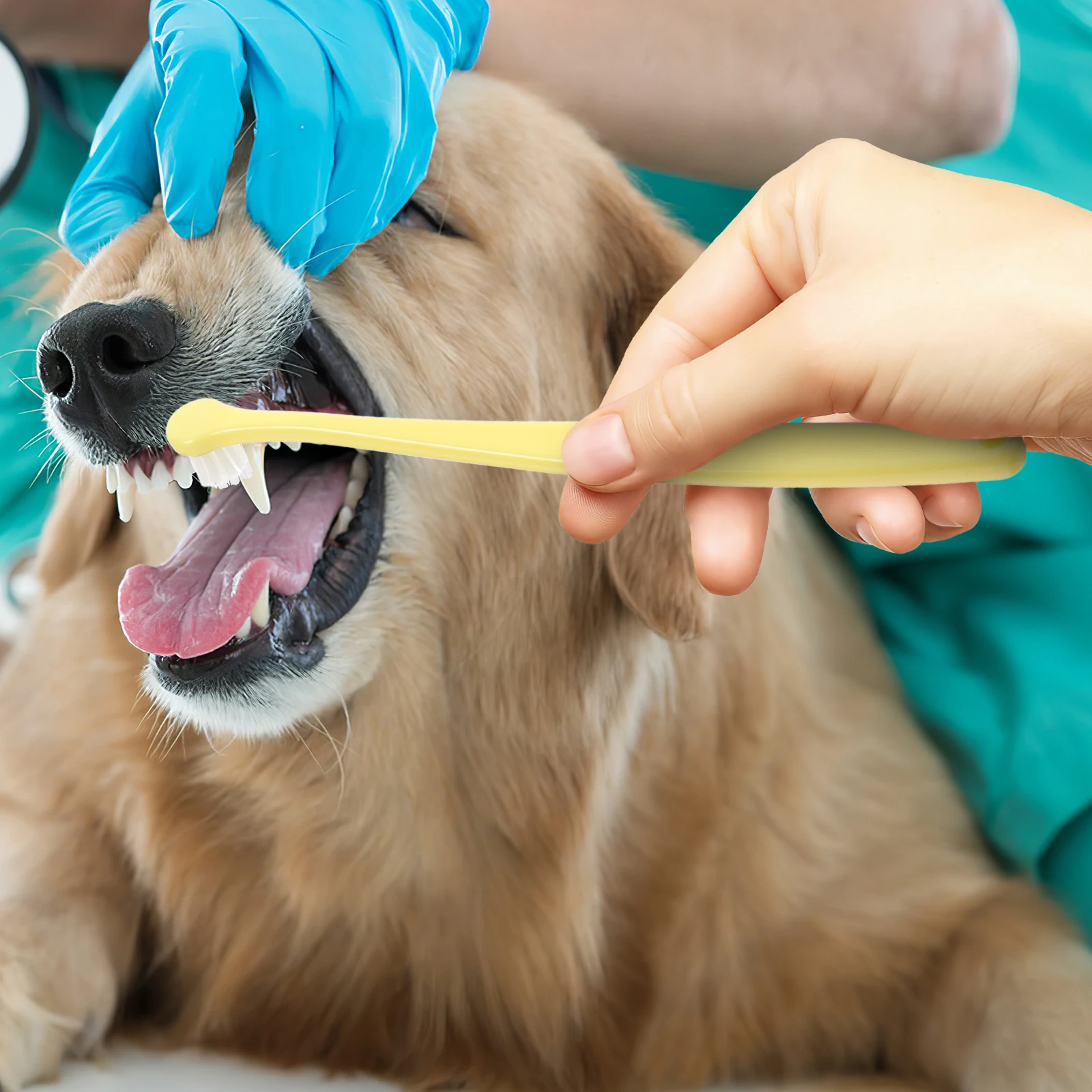 

Pet Toothbrush Round Head Soft Bristles Deep Cleaning Mouth Brush Dog Cat Kitten Puppy Dental Supplies Tpr Bath Tools