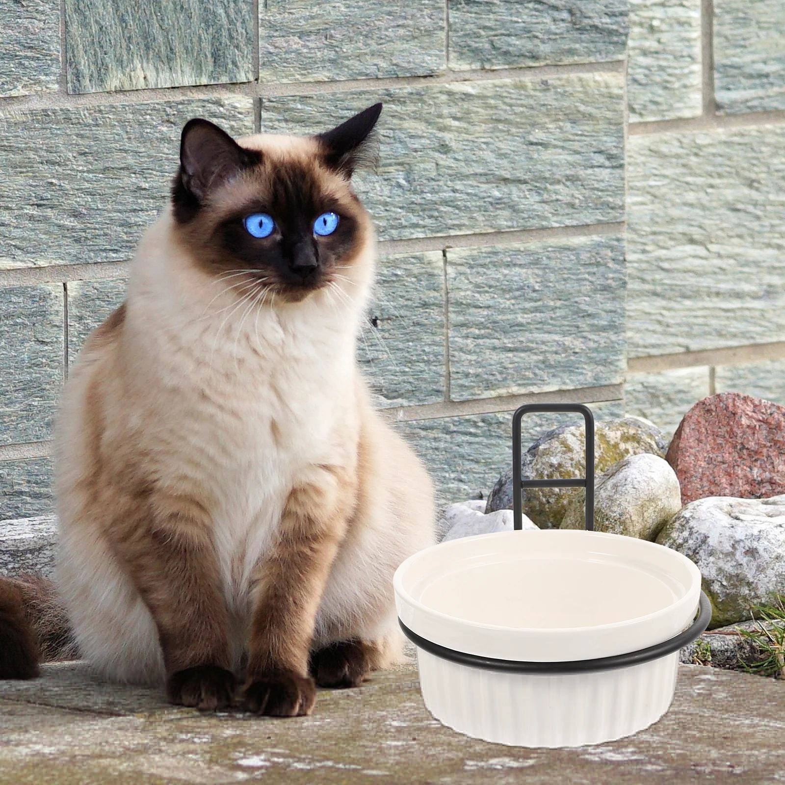 

Food Basin Bracket Elevated Feeder Feeding Bowl Pet Dog Stand Wall Hanging Bowls Ceramics