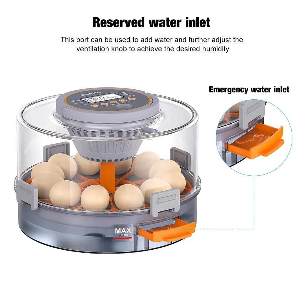 

Suitable for Cross-border new automatic hatching machine, small household egg incubator, intelligent chick quail egg incubator