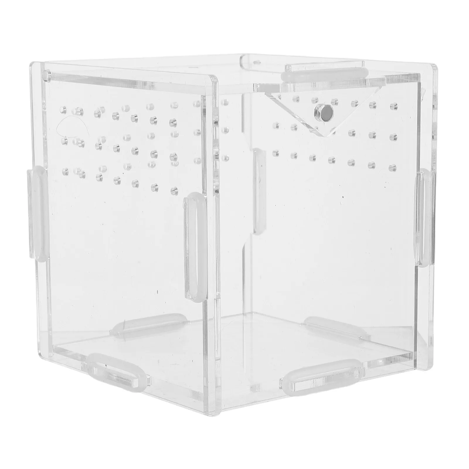 Acrylic Reptile Terrarium Pet Keeping Tank Bug Enclosure Praying Mantis Bearded Dragon Spider Habitat Acrylic Amphibian Insect