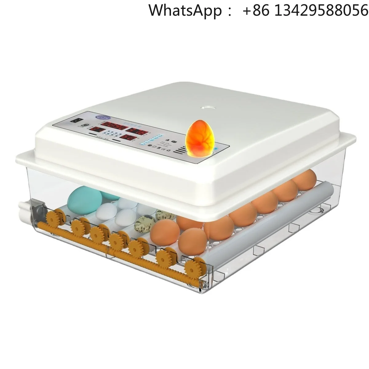Mini Automatic Egg Incubator with Temp Control – Smart Hatcher for Chicken, Duck, Goose & Quail Eggs, Home Use