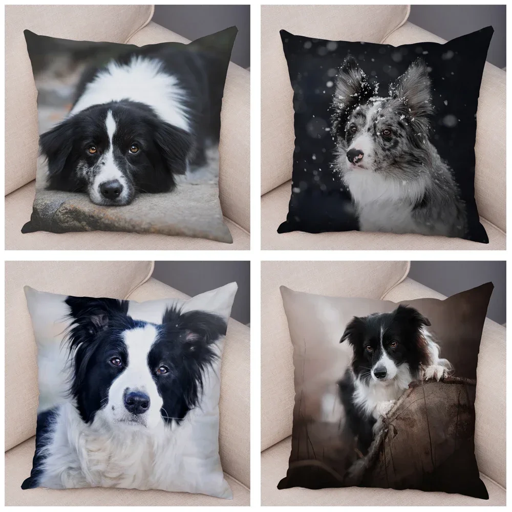 Cute Pet Animal Cushion Cover Scottish Border Collie Pillowcase Dog Printed  Sofa Stroller Customizable