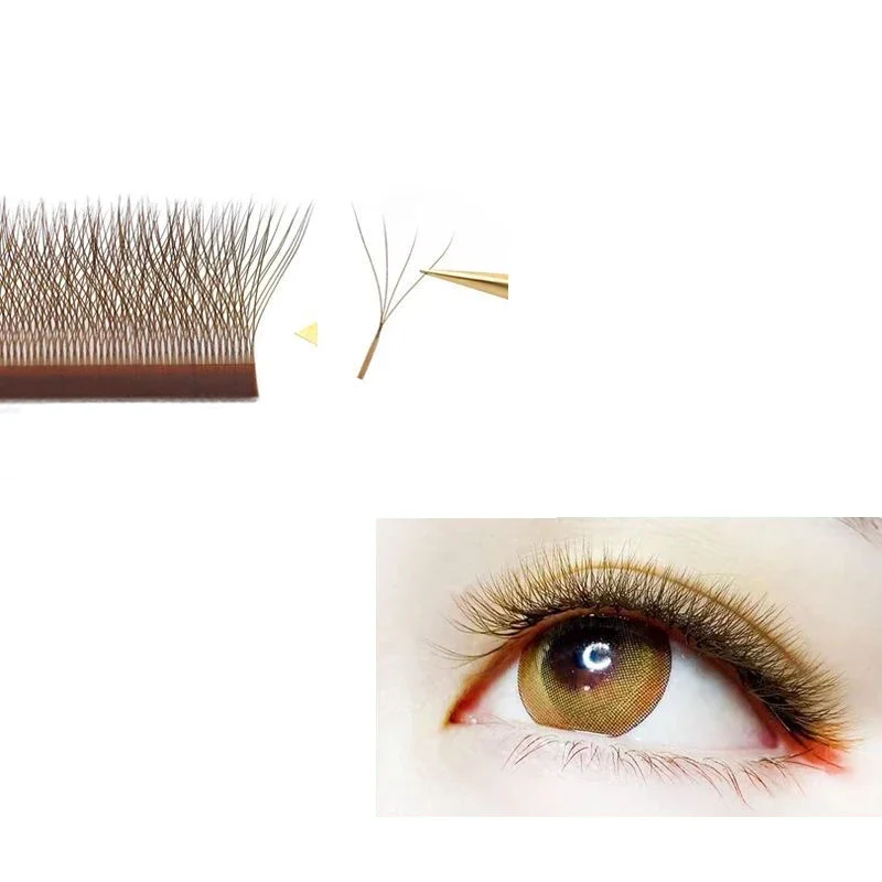 MARIA Brown 4D W Shape Type Individual Eyelash Colorful Lashes Extension Naturally Soft Real Black Mink Premade Volume Fans