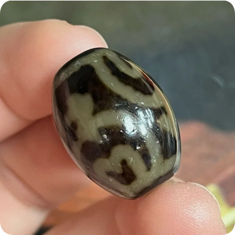 Rare Energy Tibetan Old Oily Agate DZi *Aquarius* Bead Pendant 22mm Z1014