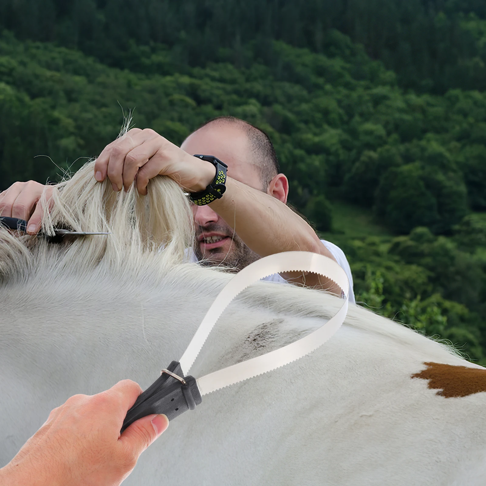 

Horse Hair Scraper Brush Stainless Steel Grooming Tool Shedding Sweater Blade Curry Comb Horse