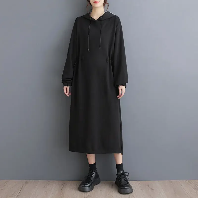 

Autumn and Winter Women's Pullover Dress Commuting Hooded Straight Tube Dress