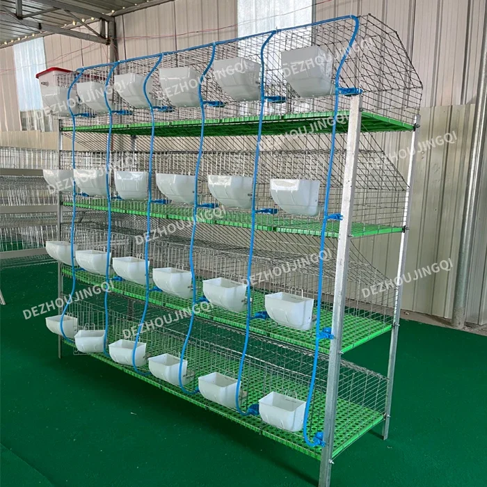 Rabbit farming meat rabbit house breeding 24 doors cells commercial rabbit cages