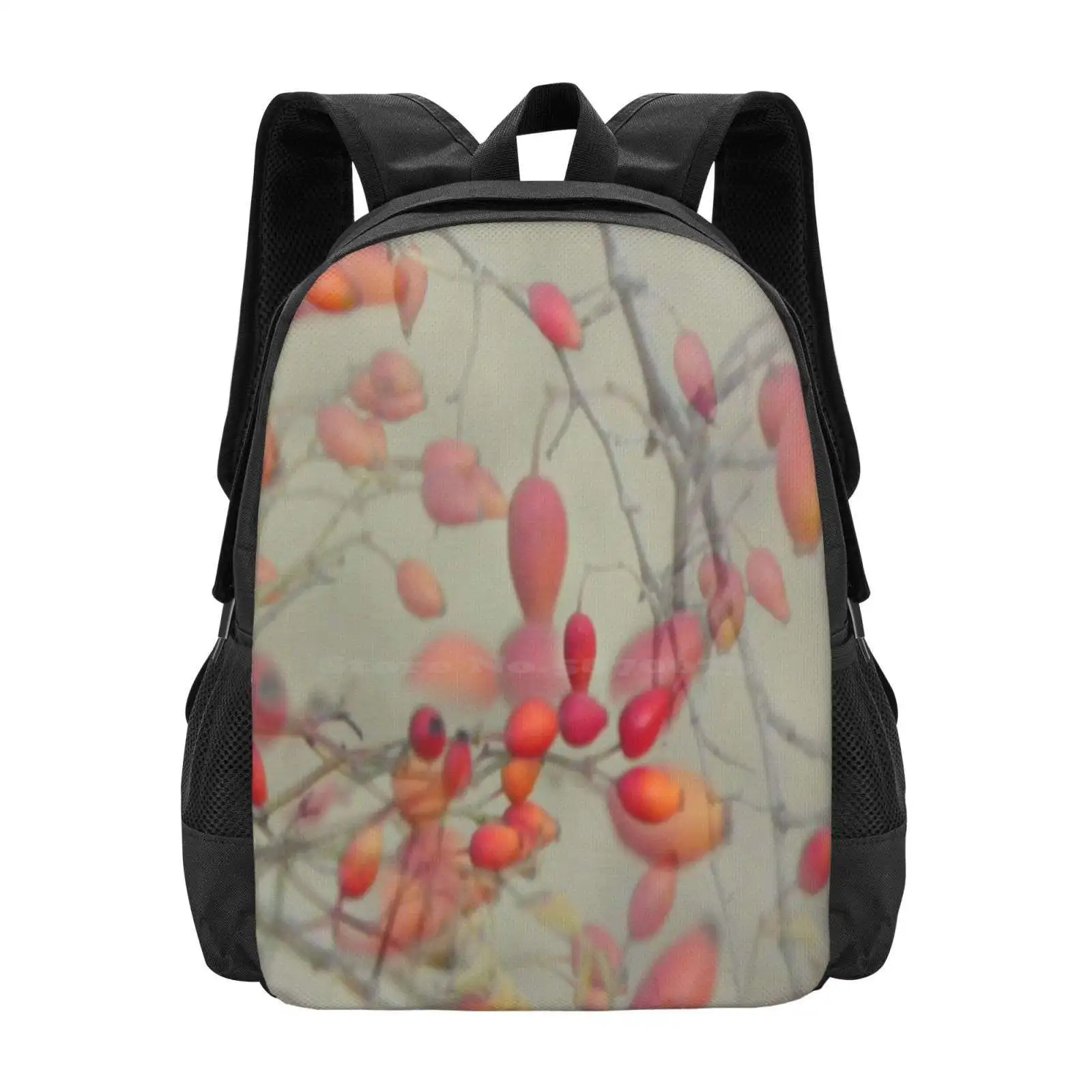 Cinorrodo Large Capacity School Backpack Laptop Bags Rose Hips Nature Flora Autumn Fall Berry Garden