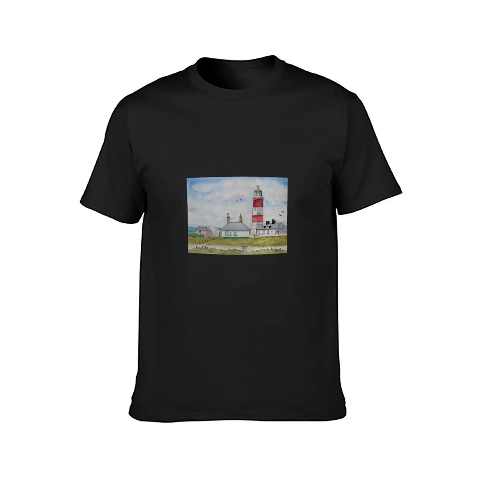 Bardsey Lighthouse, Goleudy Enlli. T-Shirt heavyweights Short sleeve tee sublime anime mens t shirts pack