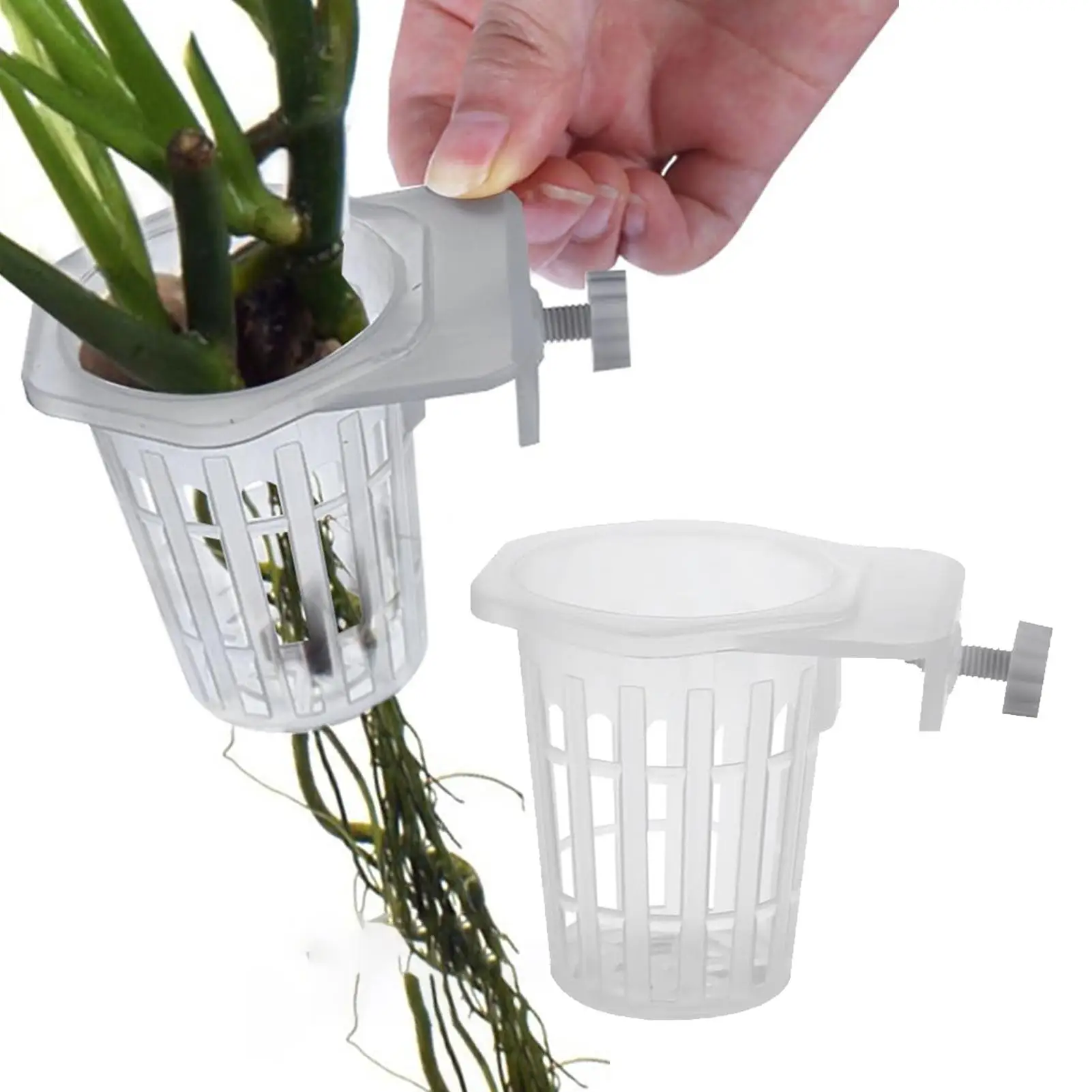 Soporte para plantas acuáticas para acuario, tazas translúcidas para plantas de pecera, 2 uds., soporte para plantas acuáticas colgante con orificios