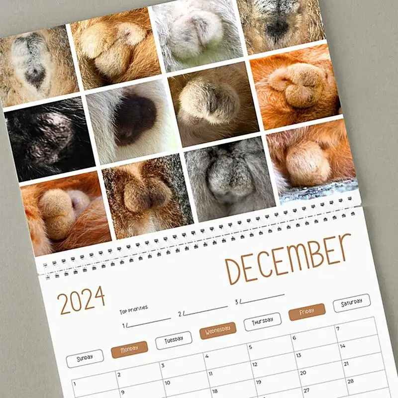 Calendário for Cats Lovers, Calendário de parede, Calendário bonito, Cat Butts, Kitten Butt, Mensal, Mesa engraçada, 2024