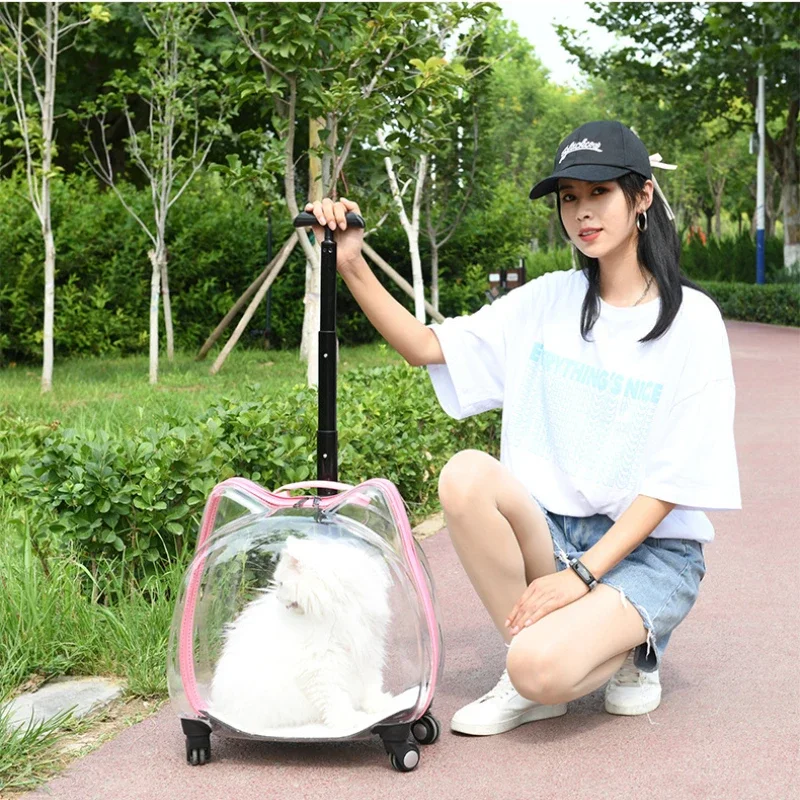 Creative Transparent Cat Carrier Dual Ear Pet Travel Basket Telescopic Handle Pet Trolley Versatile Space Capsule Transport Case