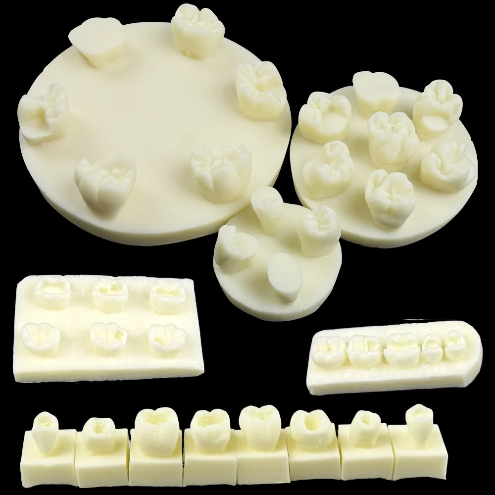 

Набор для практики реставрации зубов: модели для отработки навыков пломбирования композитом, передние и задние зубы, для стоматологов