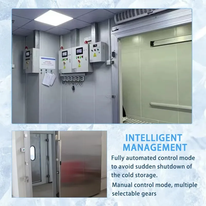 Portable 20ft Solar Powered Food Cold Storage Room Container Walk in Freezer Mobile Cold Room for Remote Areas