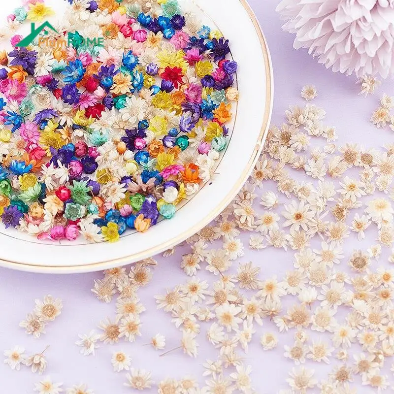 100/200pcs Real Dried Flowers For Epoxy Resin DIY Art Craft Candle Jewellery Making Glass Cover Ball Filler Flowers Accessories