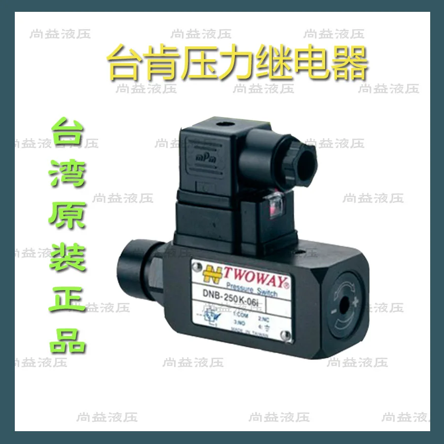 Taiken pressure relay DNB-250K-06I DNB-150K-22B 040K 070K