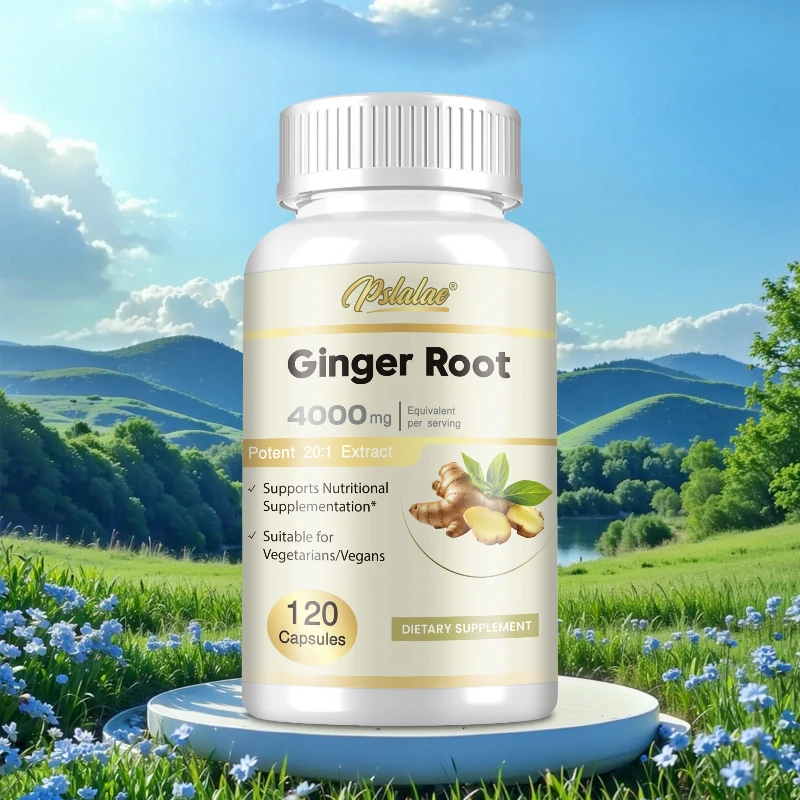 Ginger Root Capsules - Promotes Digestive Comfort, Reduces Nausea Caused By Exercise, Provides Nutritional Supplements, Non-GMO