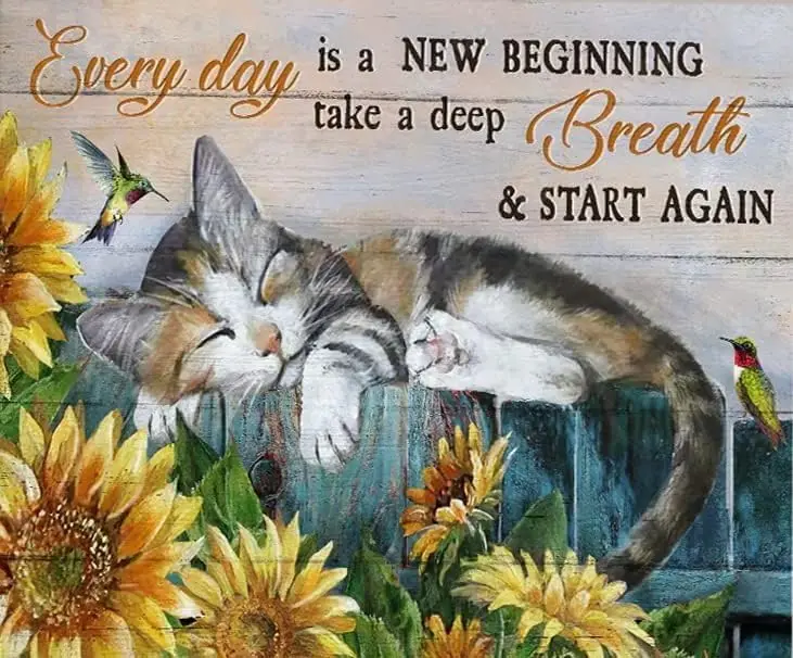 Metal Wall Decor for Bedroom Little Calico cat Sunflower Garden Hummingbird Every Day is a New Beginning Tin Sign Vintage Decora