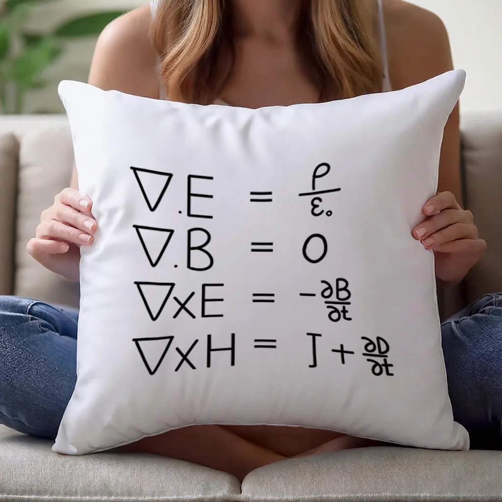 Maxwell’s Equations Pillow 18×18