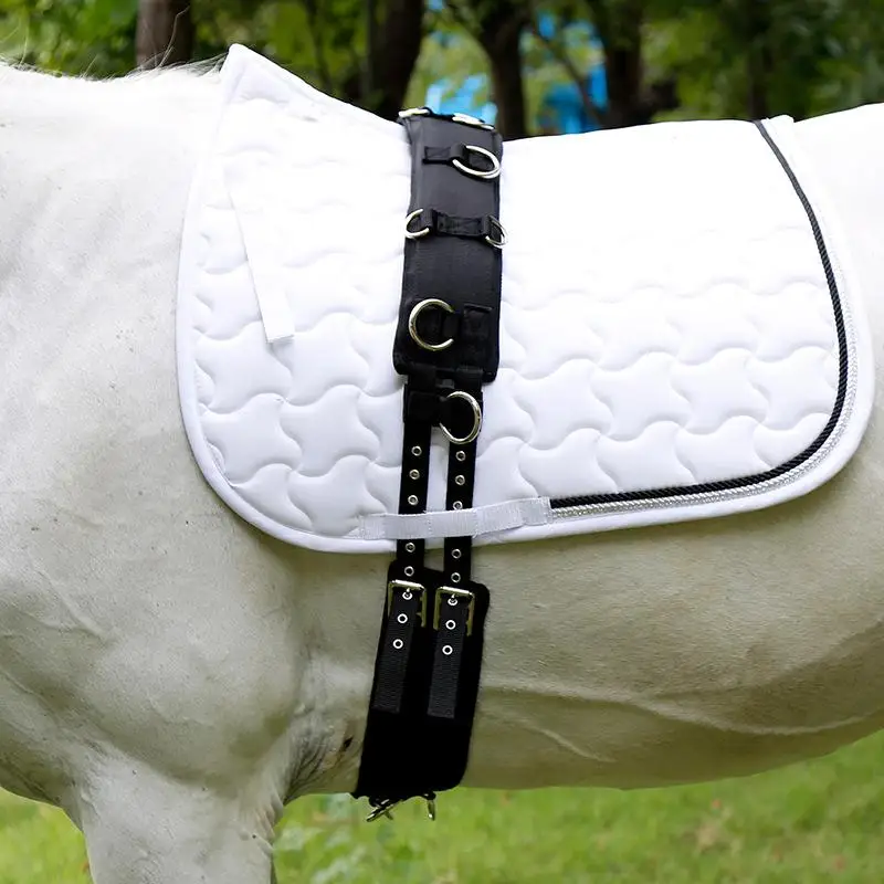 entrainement-sac-a-dos-girth-entrainement-equestre-longe-harnais-fournitures-equestres