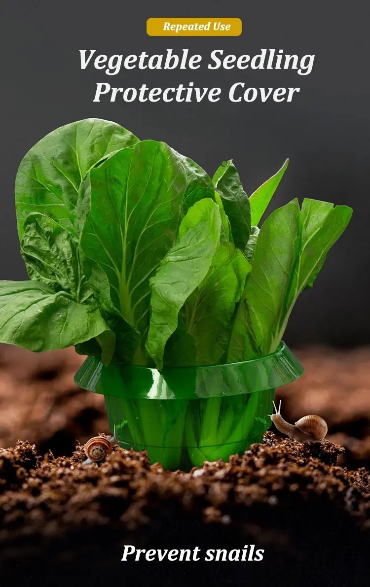 Wiederverwendbare Gemüseschutzhüllen Gartenpflanzen-Schnecken- und Nacktschneckenschutzkragen Landwirtschaftlicher Wasserschutz für Blumen – Detail 1