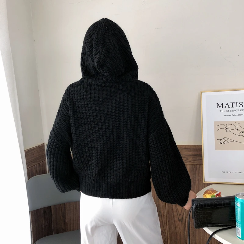 Sweter Kardigan Longgar Berkerudung Musim Gugur dan Musim Dingin Atasan Ritsleting Warna Solid Wanita Baru Pakaian Rajut Kasual Fashion Lengan Panjang