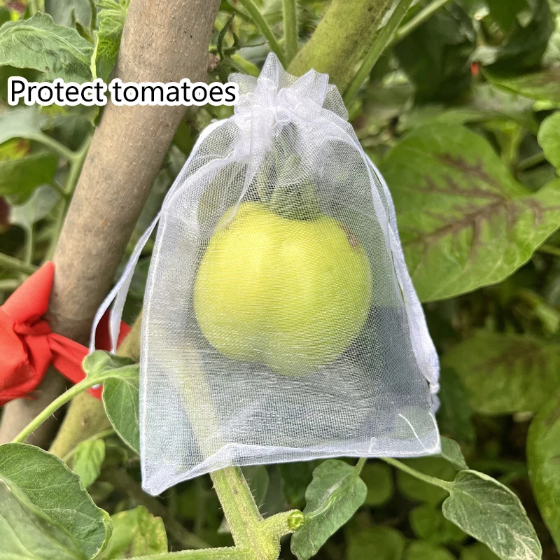 50-Piece Grape Fruit Mesh Bags, Anti-Bird Pest Control for Garden, Tree Protection Netting Bags