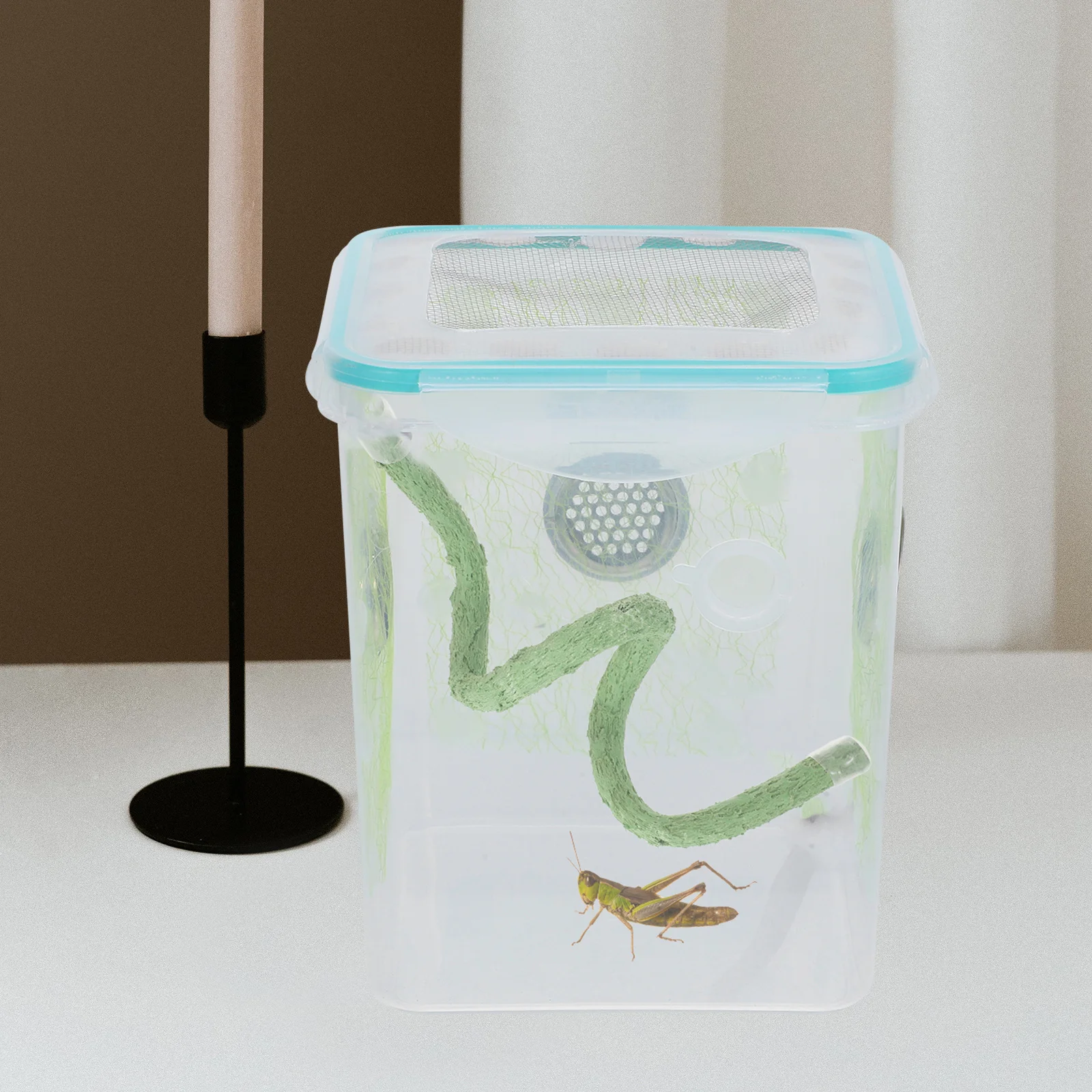 

Realistic Artificial Vine Decor for Reptile Habitat Terrarium Climbing Branch for Hermit Crabs Lizards Snakes Jungle Vines