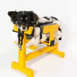 Dog Treatment Rack Pet Acupuncture Table Baoding Solid Wood Animal Binding Injection Rehabilitation Pet Products Accessories