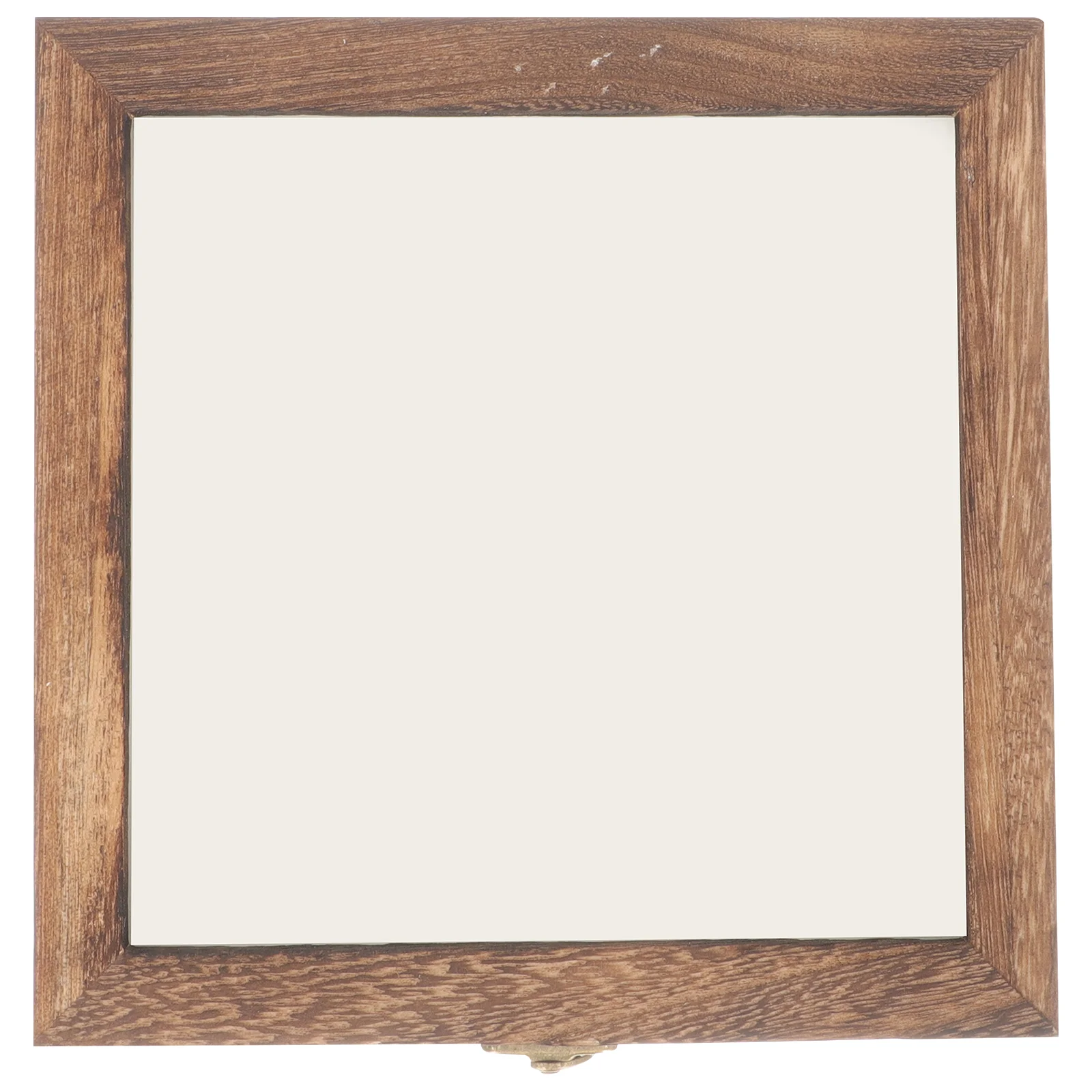 Wood Insect Display Case Specimen Holder Dried Flower Storage Butterflies Frame