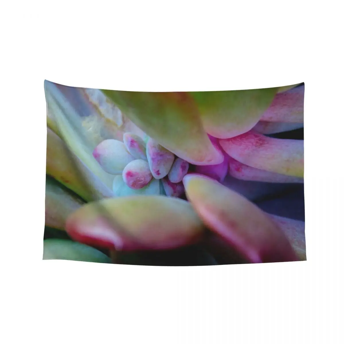 

succulent detail Tapestry Decoration Wall Carpet Wall Wallpapers Home Decor Tapestry