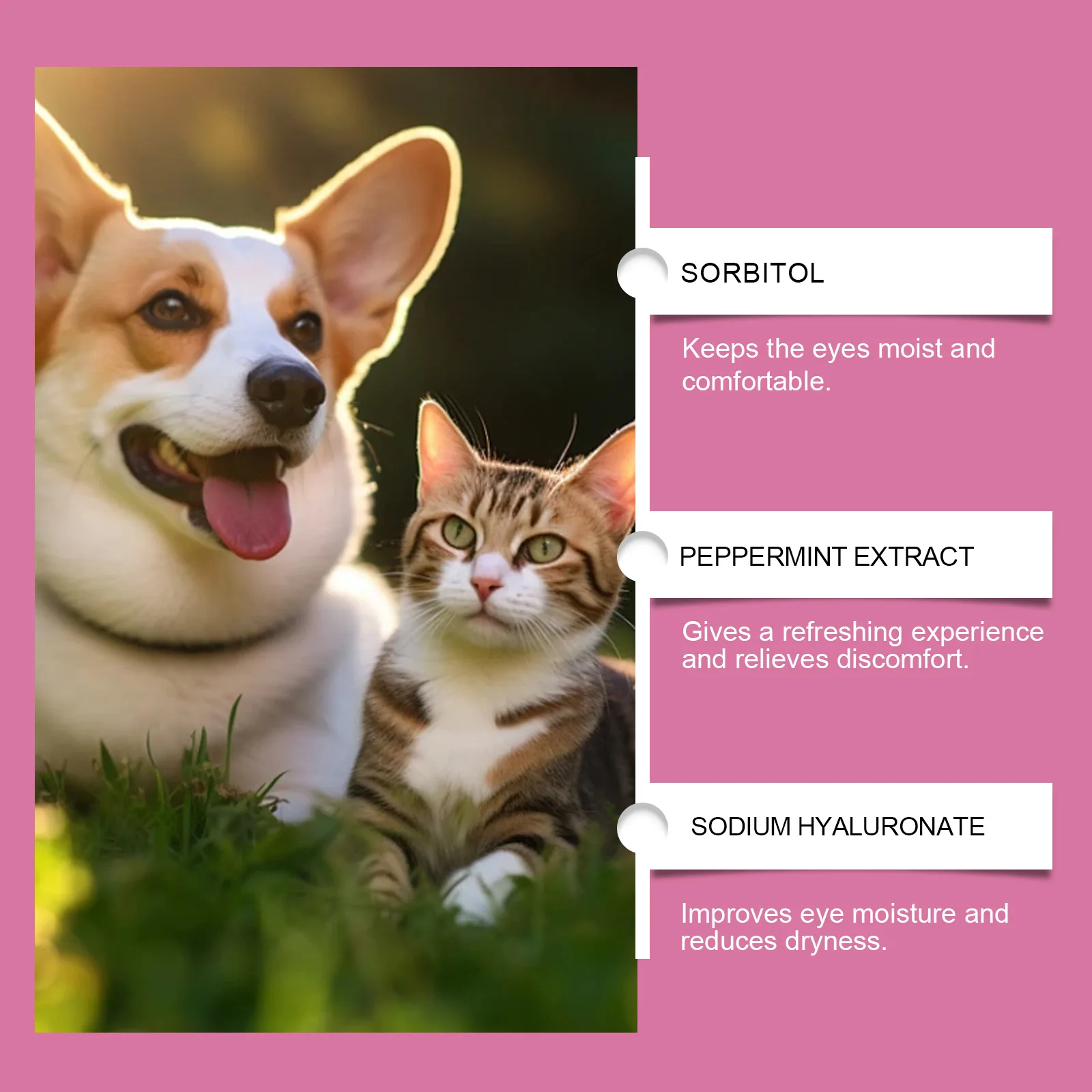 Yegbong 10ml Pet Eye Drops Gently Clean Cat and Dog Tear Stains, Secretions, and Pet Universal Eye Care Drops