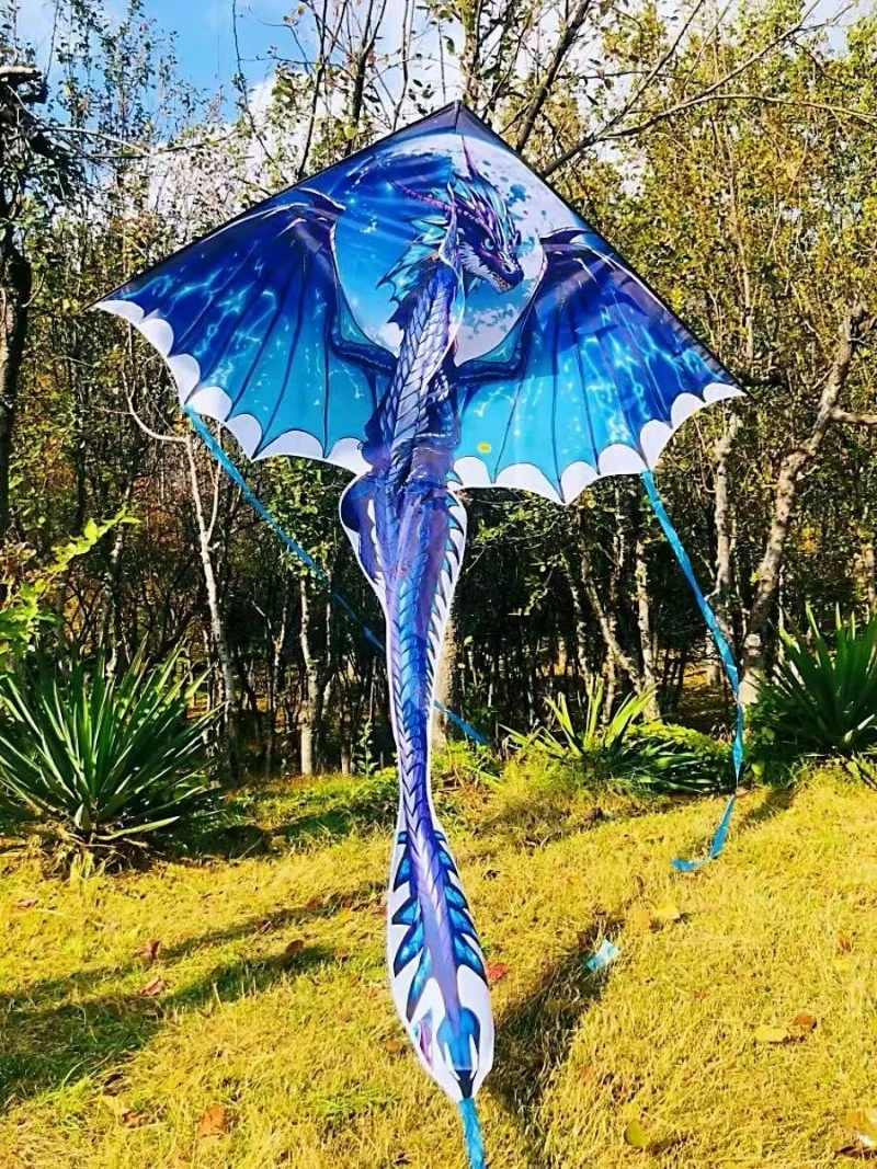 Kostenloser Versand Flugsaurier Drachen fliegen professionelle Wind Drachen Rolle Outdoor-Spielzeug Drachen Surfen Griff Pedal chinesischen Drachen Kevlar Spaß