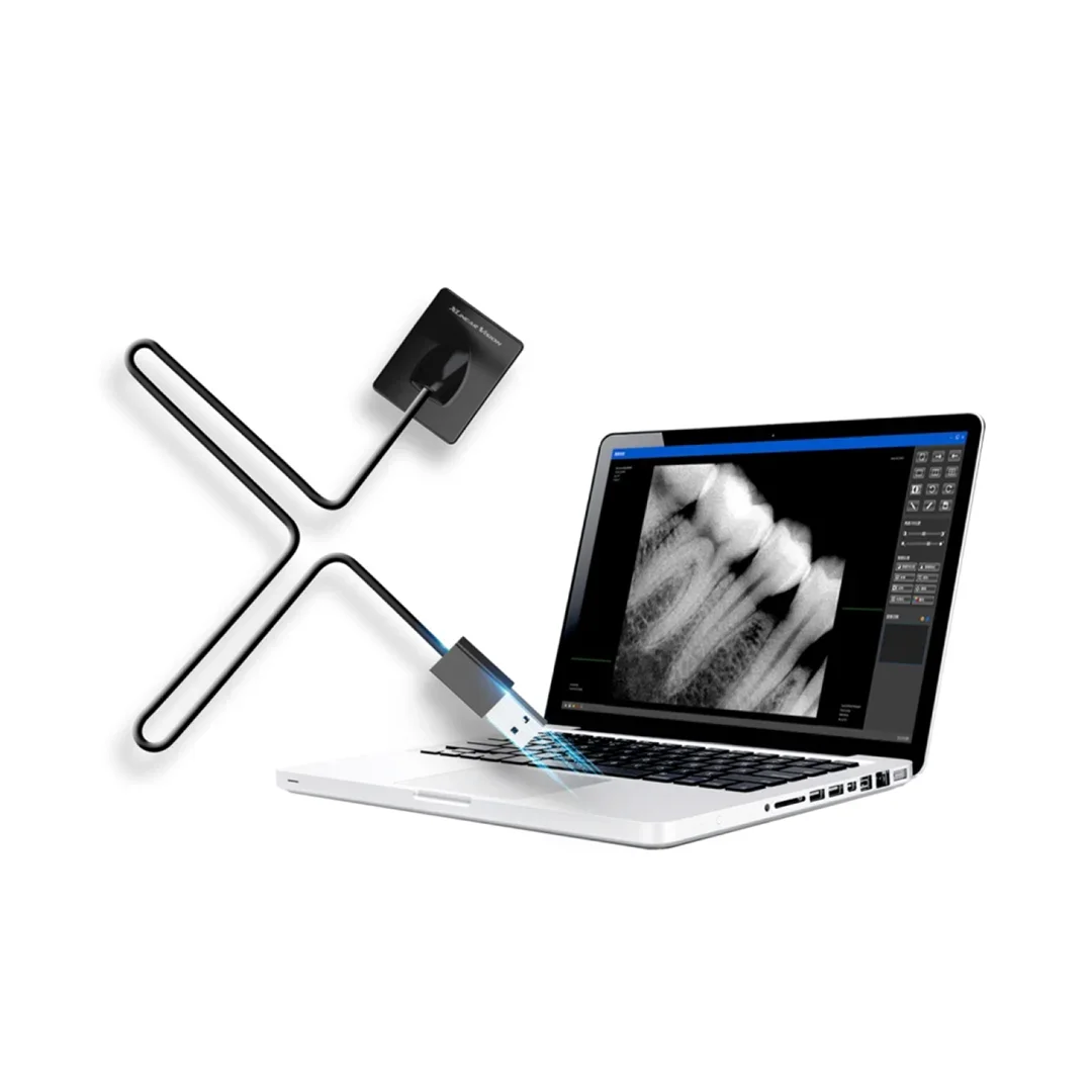 LK-C62+ Cheap Digital RVG X Ray Sensor Size 2 Factory Price  Intraoral X-ray Sensor for  Lab