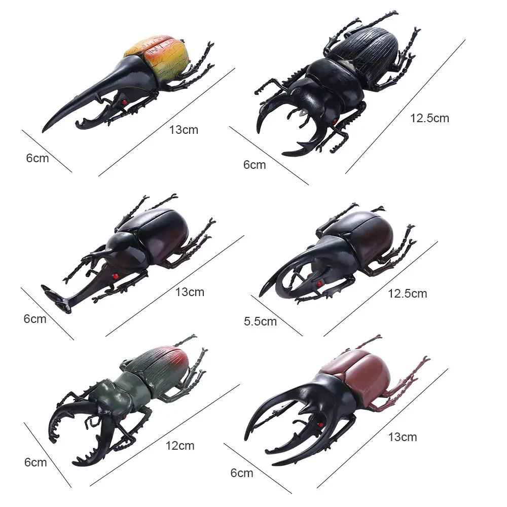 Collection Insect Toy Fake Beetle Kids Simulation Animals Simulation Beetle Special Lifelike Model Beetle Toys Insect Model