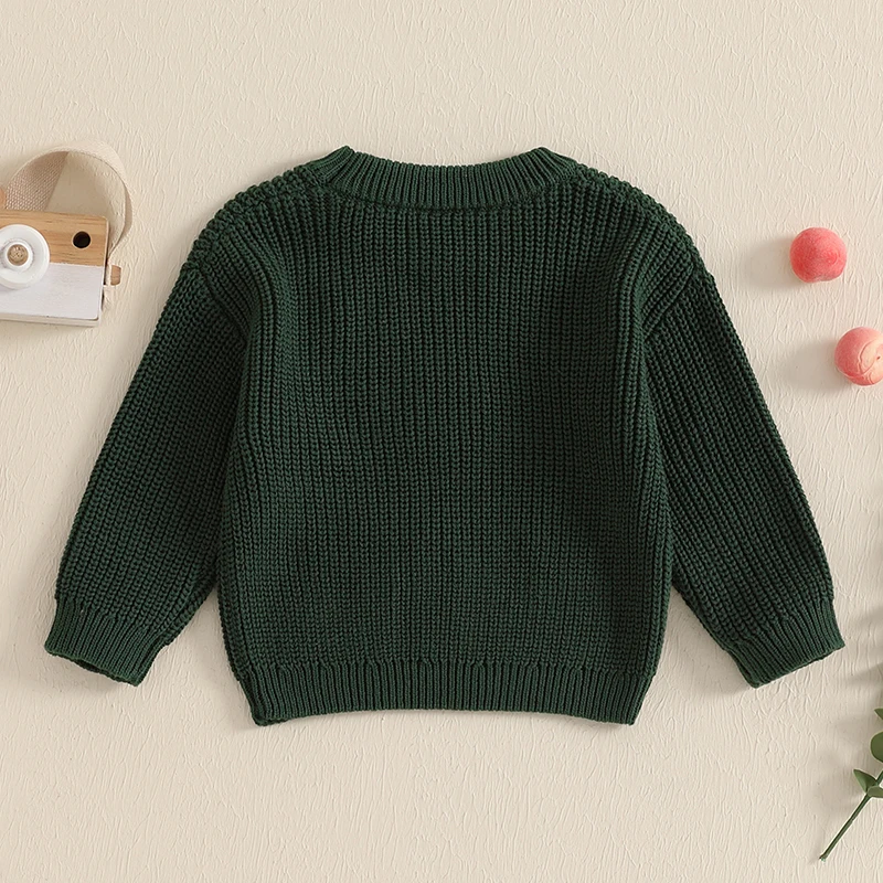 Baby Knit Sweaters Long Sleeve Round Neck Avocado Embroidery Pullover Infant Fall Tops