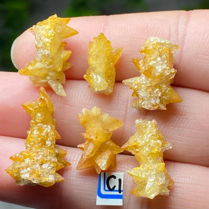 Cristal de Calcite Naturelle en Grappe, Spécimen Minéral Brut, Collection de Pierres, Guérison Reiki, Décoration d'Intérieur, Enseignement Géologique