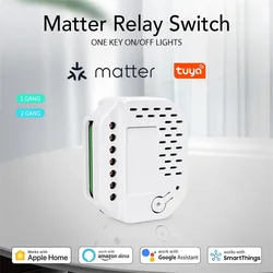 Interruttore relè WiFi Tuya Smart Matter di controllo wireless compatibile con Homekit Alexa Google Home SmartThings Mini interruttore fai da te