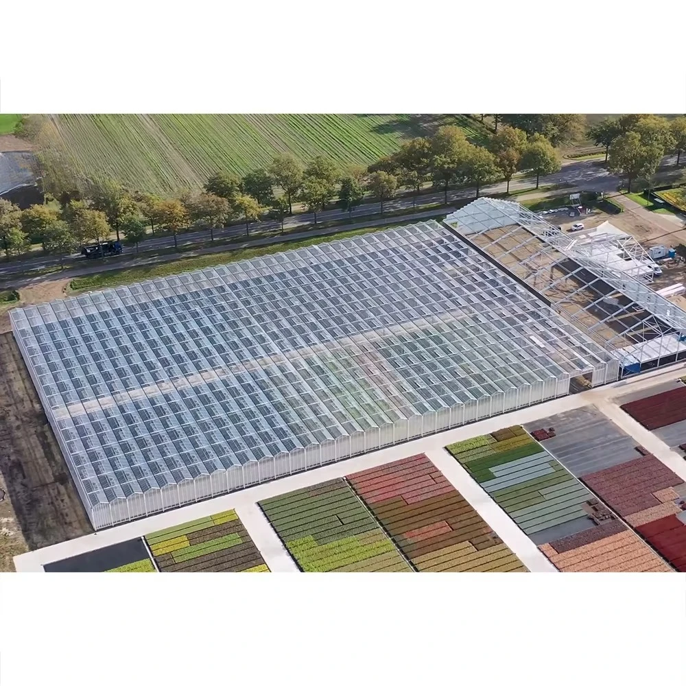 Agricultural Thermal Insulated Greenhouse Shading System Vegetable Fruit Growing House Serre Agricole Invernadero