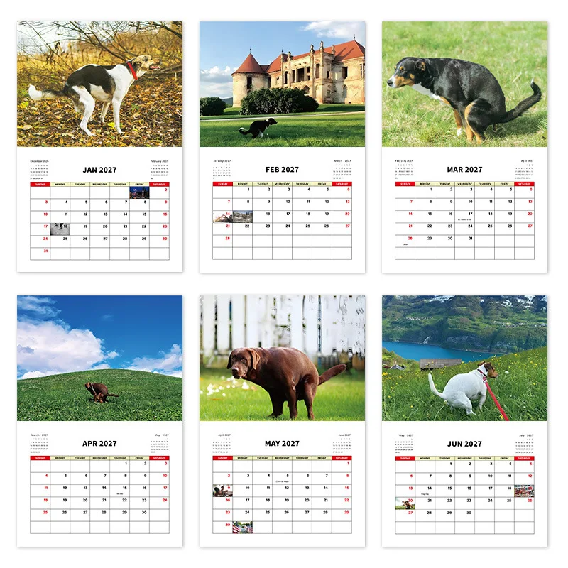2027 Funny Dog Wall Calendar Dogs Pooping in Beautiful Places Novelty Gag Gift for Dog Lovers Home Office Wall Deco