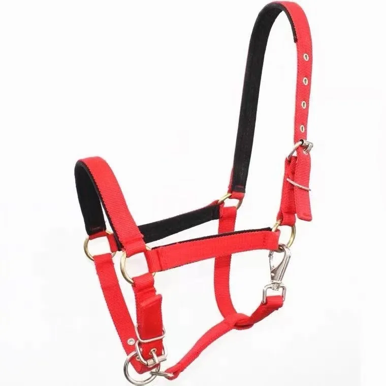

Fashion Style Hot Sale Breakaway Form Leather Padded Adjustable Nylon Horse Halter 1