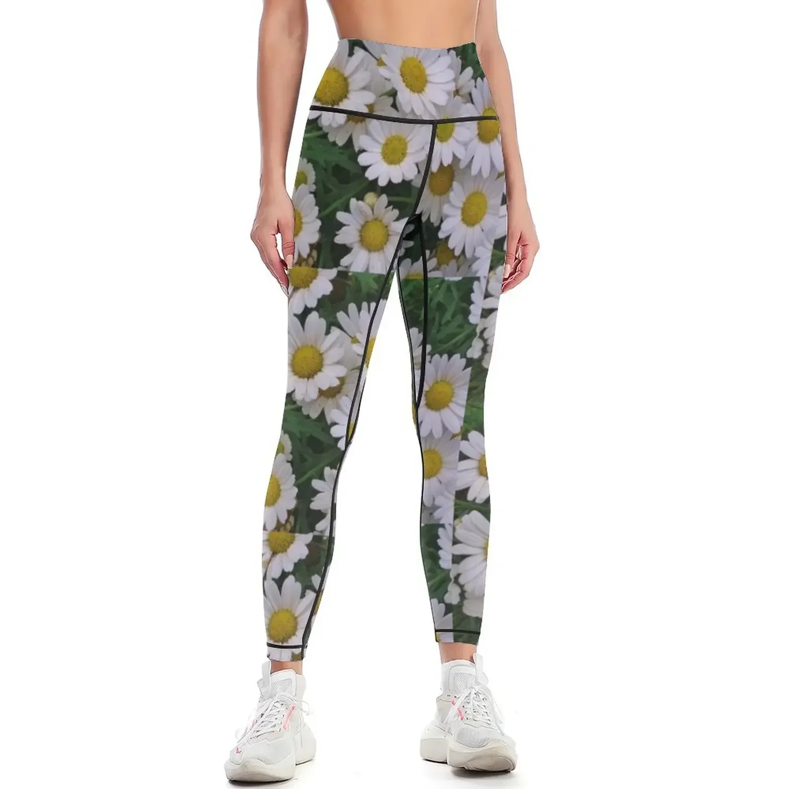 

Marguerite Daisies (Argyranthemum) Leggings gym wear exercise clothing for workout clothes for trousers Womens Leggings