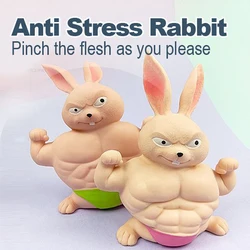 Rabbit Squeeze Doll Fidget Toys Slow Rebound TPR Squishy Anti Stress Decompression Toy Stress Relief Toy For Kids Adults J145