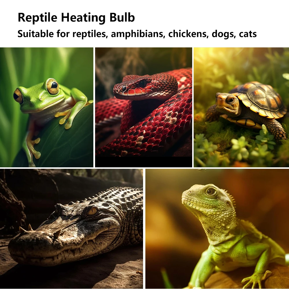 Reptile Heating Lamp Bulb 220V 75W Thermal Preservation Heat Infrared Ray for Reptile Spot Light Bulbs Amphibian Pet Snake Lamp