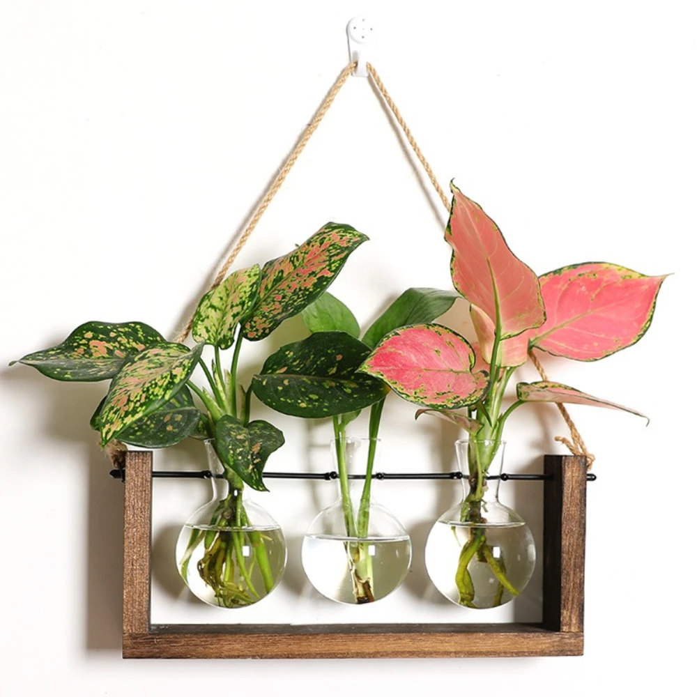 Creative Wooden Frame Wall Hanging Glass Vase Containers for Aquatic Plants Flower Ornaments Living Room Office Decor