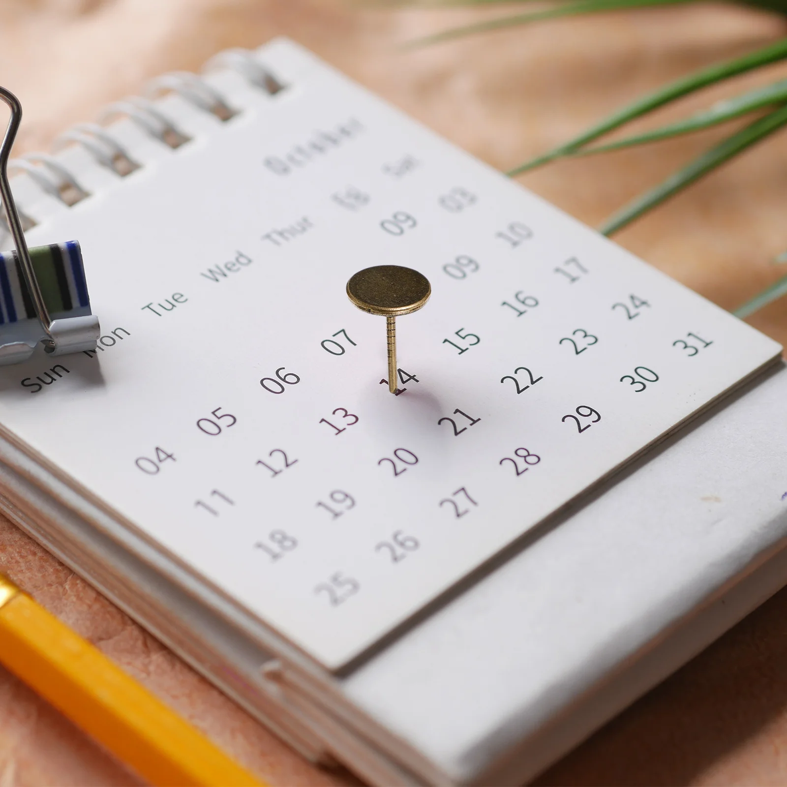 

100Pcs Flat Vintage Thumb Tacks Decorative Tacks Heavy Duty Upholstery Nails Furniture Home Office Thumb Tack Upholstery Nails