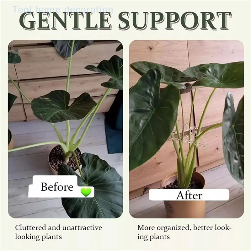 High-Quality Transparent Monstera Plant Stem Support; Durable Potted Plant Holder